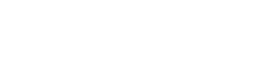 TOWA APN-30 Logo